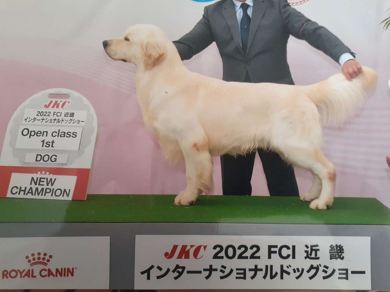 英国プラチナゴールデン「アルゴ」